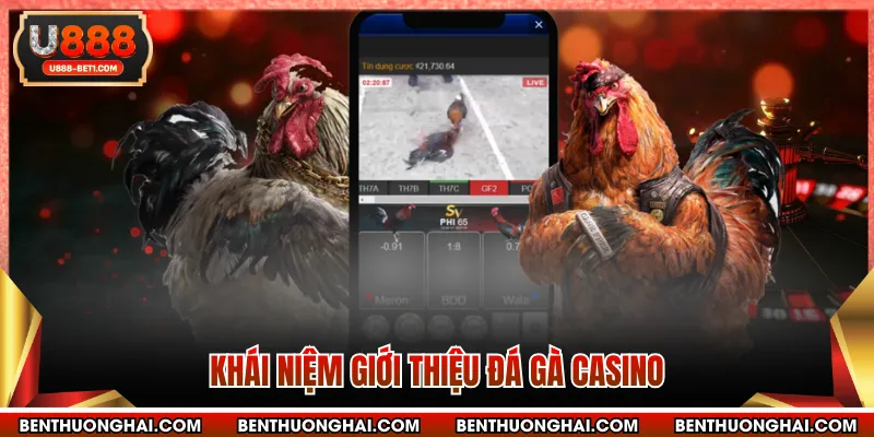 Khái niệm giới thiệu đá gà casino