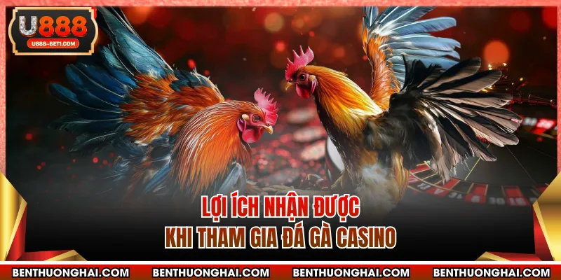Lợi ích nhận được khi tham gia đá gà casino